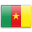 Cameroon IIN / BIN Buscar